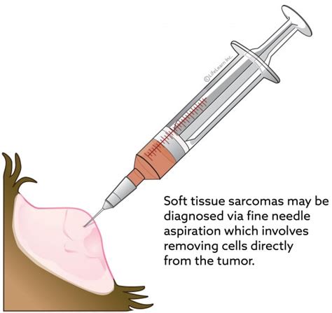 Soft Tissue Sarcomas | VCA Animal Hospital