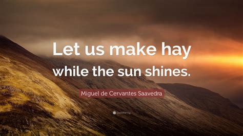 Miguel de Cervantes Saavedra Quote: “Let us make hay while the sun ...