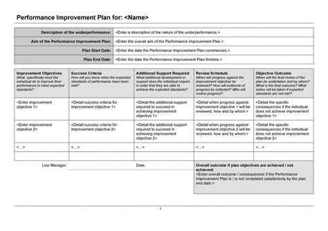 Performance Improvement Plan Template For Healthcare