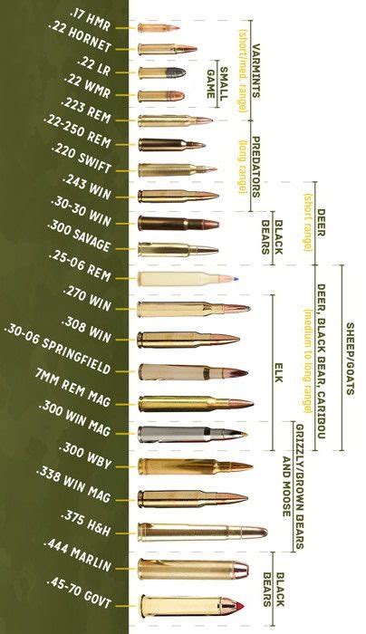 Ammo Can Size Chart