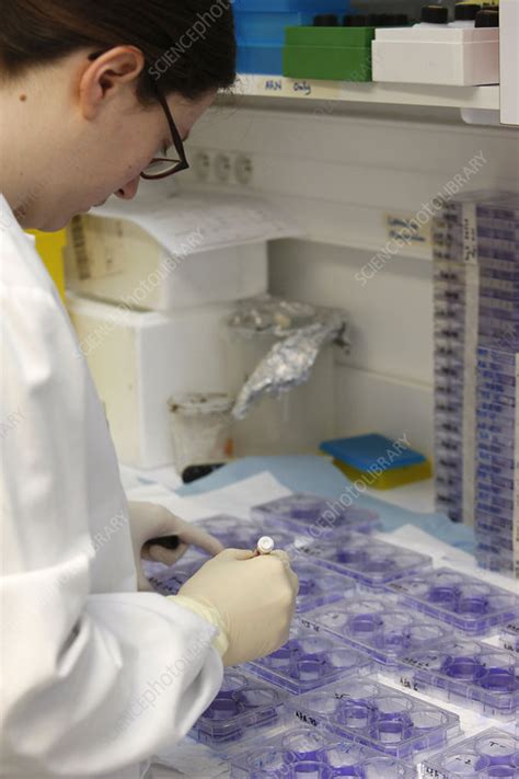 Virology laboratory - Stock Image - C002/0440 - Science Photo Library