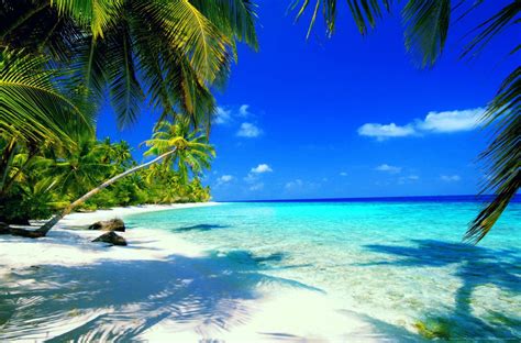 Tropical Beach Paradise Wallpapers - Wallpaper Cave