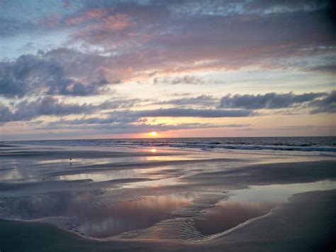 Sapelo Island - by Bonnie Simons | Places to travel, Georgia travel, Travel