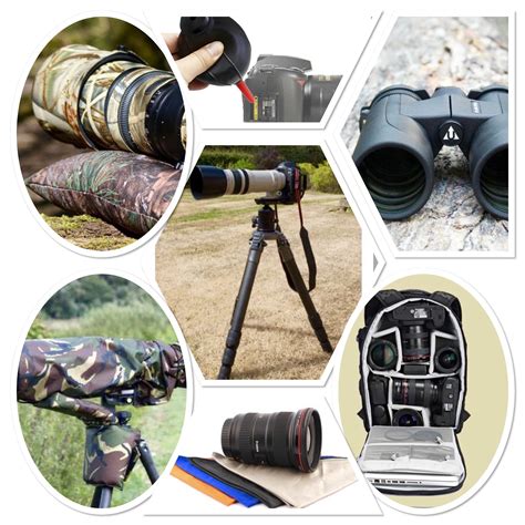 Other equipment essential for wildlife photography | Nupur Bhatnagar