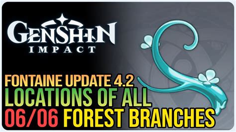 All Foggy Forest Branch Locations Genshin Impact - YouTube