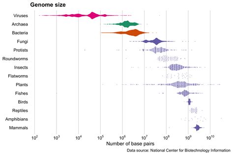 Genome size | Datavision 2020