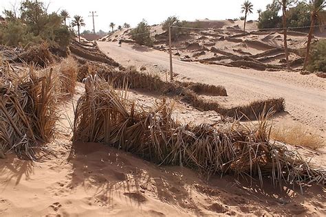 What is Desertification? - WorldAtlas.com