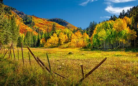 Photographs of San Juan Mountain Fall Landscapes