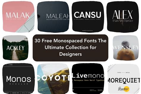 30 Free Monospaced Fonts The Ultimate Collection | TheDesignFlair