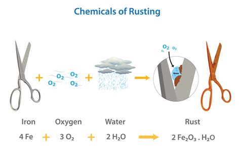 The chemical required for rust formation vector illustration 20240732 ...