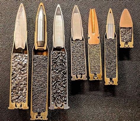 Various Bullet Calibers [1440x1250] : r/ThingsCutInHalfPorn