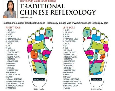 Chinese Reflexology Chart | Reflexology foot chart, Reflexology chart, Foot reflexology