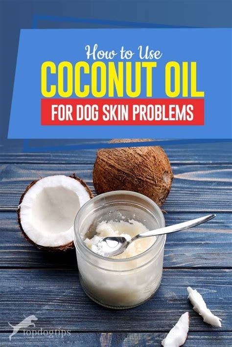 Coconut Oil for Dog Skin: Apply & Cure Skin Problems (Based on Studies)