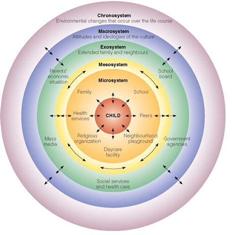 Bronfenbrenner Ecological System Theory Of Development | Video Bokep ...