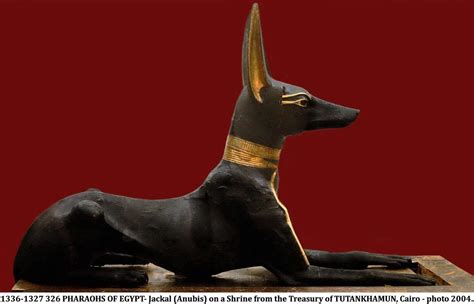 1336-1327 326 PHARAOHS OF EGYPT- Jackal (Anubis) on a Shri… | Flickr