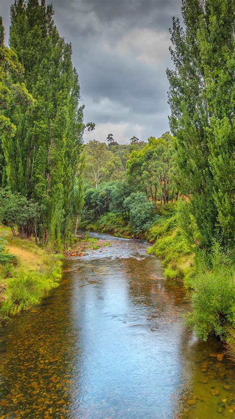 Cobungra river creek in the Alpine mountainous region of north east ...