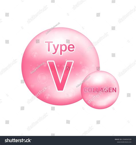 Collagen Type V Five Most Common Stock Vector (Royalty Free) 2168563195 | Shutterstock