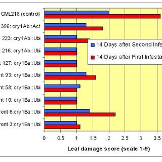 Leaf damage scores from spotted stem borer ( Chilo partellus ) for Bt ...