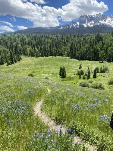 10 Best Camping Trails in Uncompahgre National Forest | AllTrails