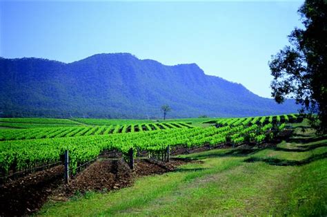 Hunter Valley Wine Region | Hunter Valley is Australia’s old… | Flickr