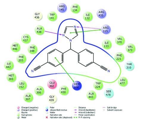 Two-dimensional interaction mode of letrozole in the enzyme active site... | Download Scientific ...