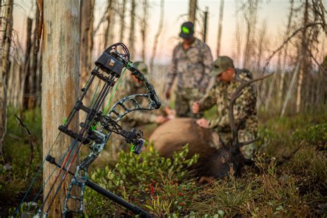 How to Setup Your Compound Bow for Elk Season | Outdoor Life