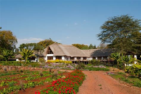 Ngorongoro Farm House - Safari Plain