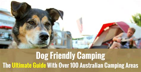 Dog Friendly Camping: The Ultimate Guide With Over 100 Australian Camping Areas - DogZone Australia