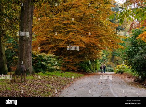 BATSFORD ARBORETUM Stock Photo - Alamy