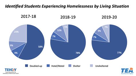 Homeless Youth Statistics — The Cove Waco | Ending Youth Homelessness