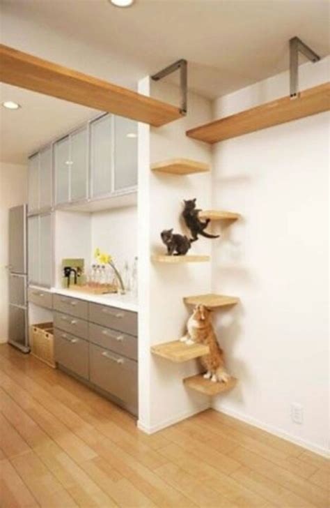 70 Creative DIY Floating Wall Corner Shelves Ideas | Diy remodel, Cat ...