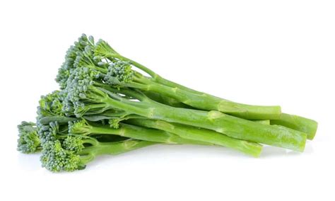 Broccolini vs Broccoli: 5 Key Differences - A-Z Animals