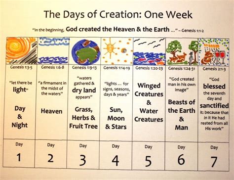 Pin by Jessica Previglian on Bible Class | Bible lessons for kids, 7 days of creation, Bible lessons