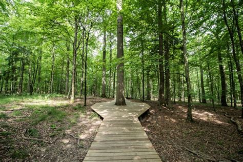 Beautiful nature trails near me - How to find them? MUST KNOW!