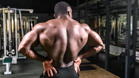 The Anatomy of Your Back Muscles, Explained (and How to Train Them ...