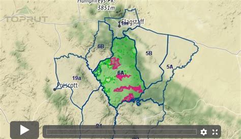 Arizona Elk - Unit 6a - Draw Odds, Tag Information and More