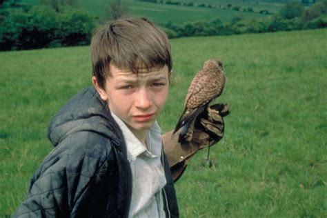 Flashback: Kes (1969) – working-class boy trapped by social norms in ...