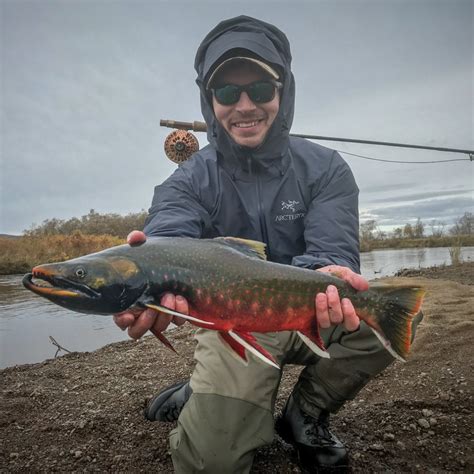 Alaska Fishing (New) - Gage Outdoor Expeditions