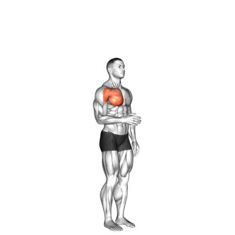 Shoulder Medial Rotation Exercise: Video Guide & Tips