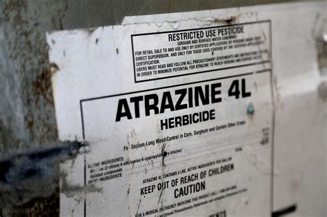 Atrazine 4l Herbicide Label - Best Label Ideas 2019