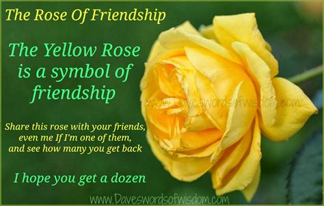 Daveswordsofwisdom.com: The Yellow Rose Of Friendship