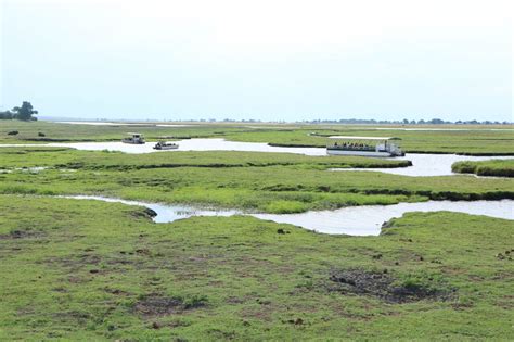 Chobe River Cruise & the history of Sedudu Island | A Simply Fab Life