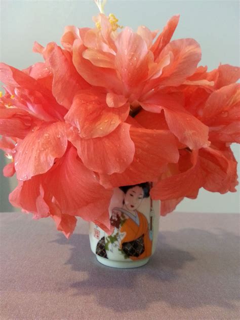 double hibiscus | Floral arrangements, Hibiscus, Floral