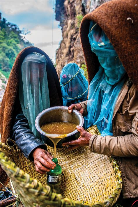 The Honey Hunters of Nepal - Inside Himalayas