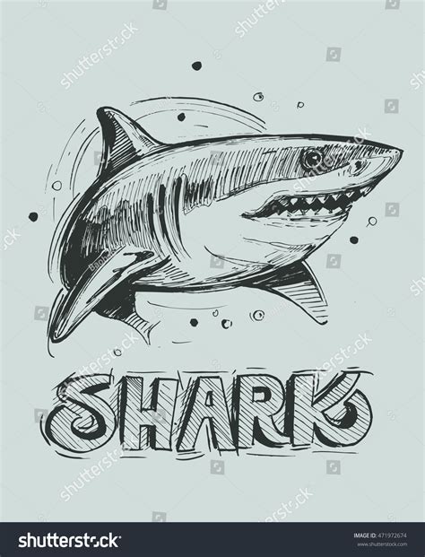 5,246 Shark tattoo Images, Stock Photos & Vectors | Shutterstock