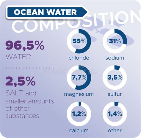 Water - Seawater Composition Stock Vector - Illustration of percent ...
