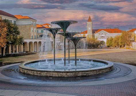 TCU Eating Disorder Counseling & Support Groups