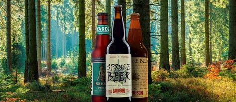 Spruce Beer | Local Non-alcoholic Beverage From United States of America