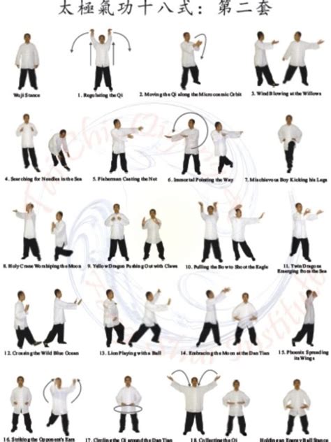 Tai Chi Chart Of Movements