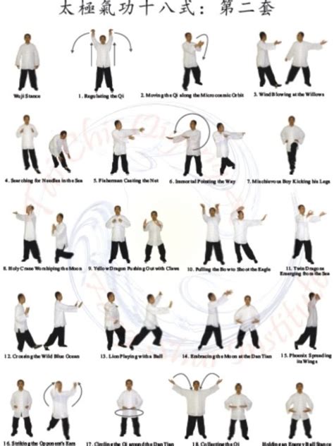 Tai Chi Qigong Shibashi-Set 2 Poster | Tai chi qigong, Tai chi, Tai chi ...